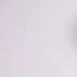 데이식스