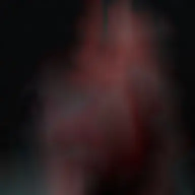 Profile image of りの