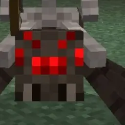 Profile image of 거미