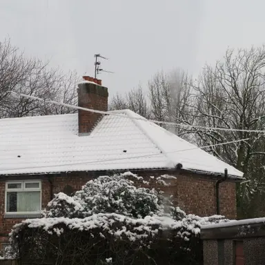 Profile image of 토미 블레이크