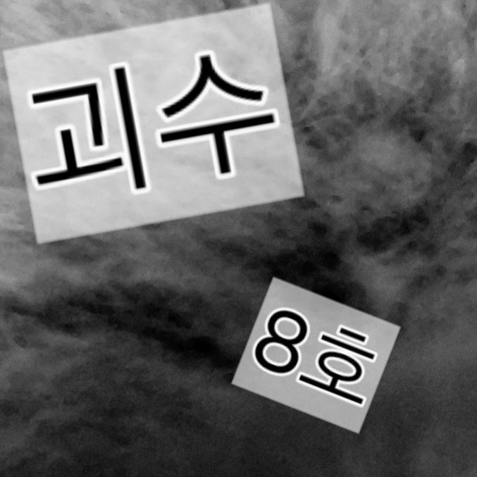 달이 괴수 8호! 대표 이미지