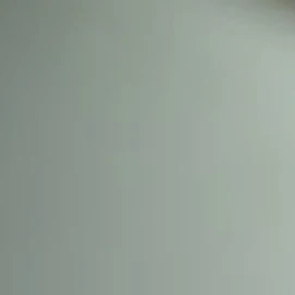 뜰팁 경호원