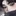 김선우