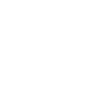Profile image of ヒスナ