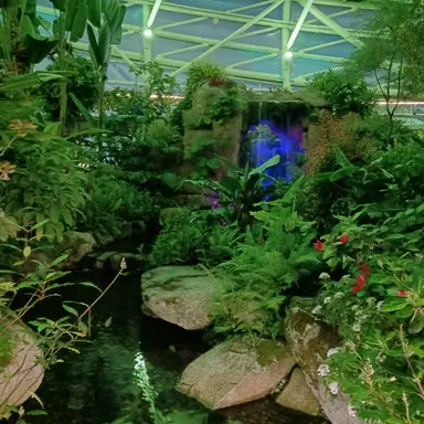 Profile image of 하츠투하츠 막내