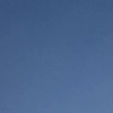 Profile image of Feliciano