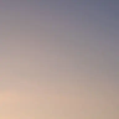 Profile image of 池野