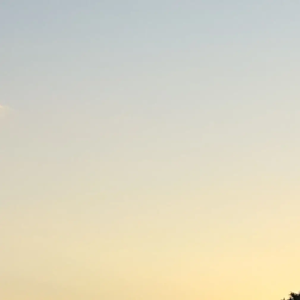 WittyUncle1239의 최수현