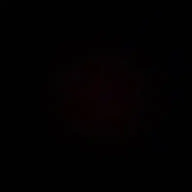 Profile image of T