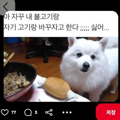 Profile image of 도트