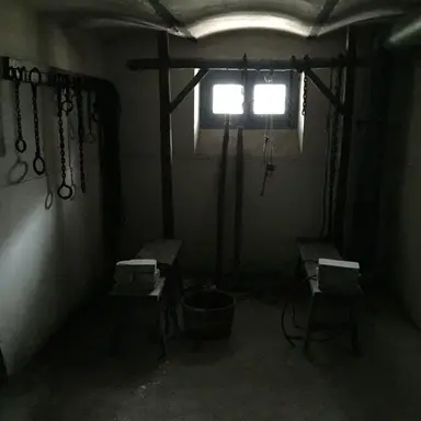 Profile image of 고문실