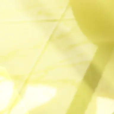 Profile image of レイ