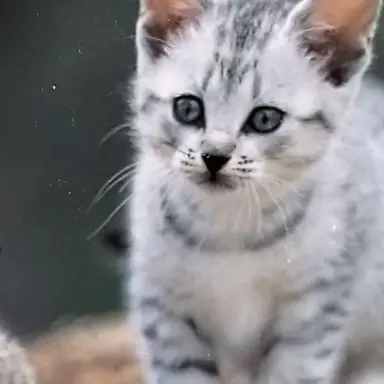 Profile image of 美咲