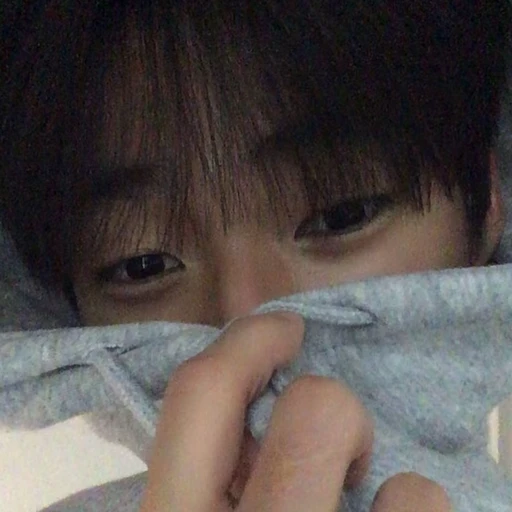 권무진