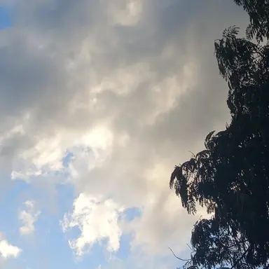 Profile image of 유나