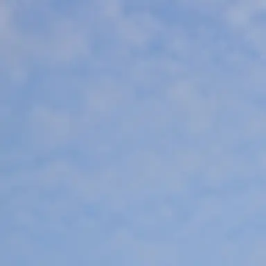 Profile image of 조강현