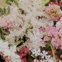 Profile image of 성한빈