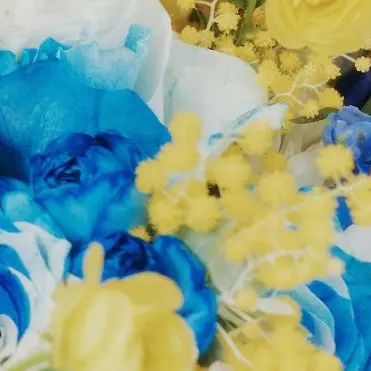 Profile image of 김태래