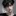 차현우