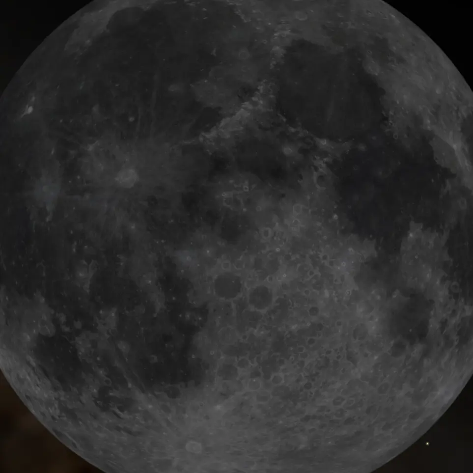 SturdyOlive3110의 개인용