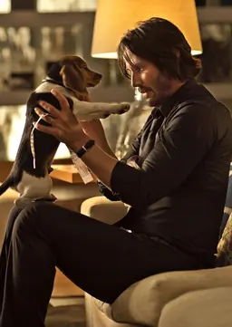 Profile image of John wick