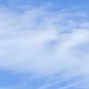 Profile image of ようせい
