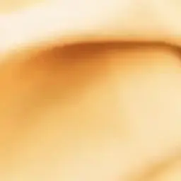 Profile image of 吉田仁人