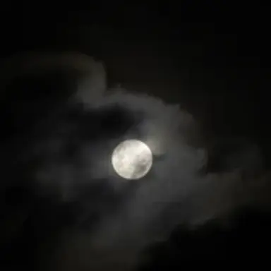 Profile image of うり