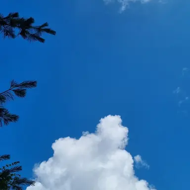 Profile image of 루나