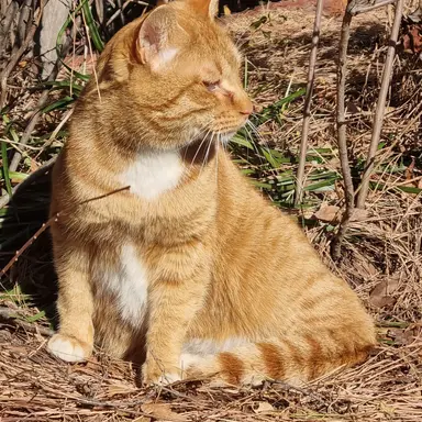 Profile image of 썬더