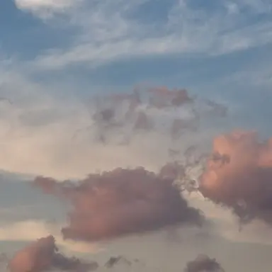 Profile image of 아르카_화음