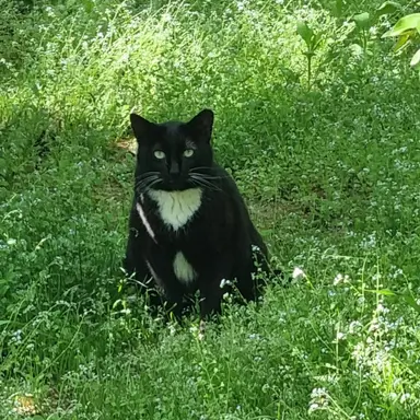 Profile image of 트리커즈