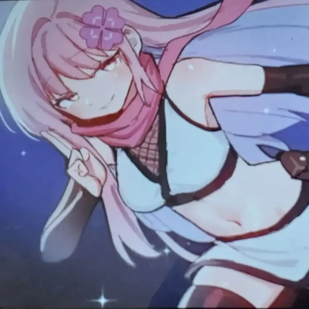 WoodenPlank2877의 닌자버전 마이러부