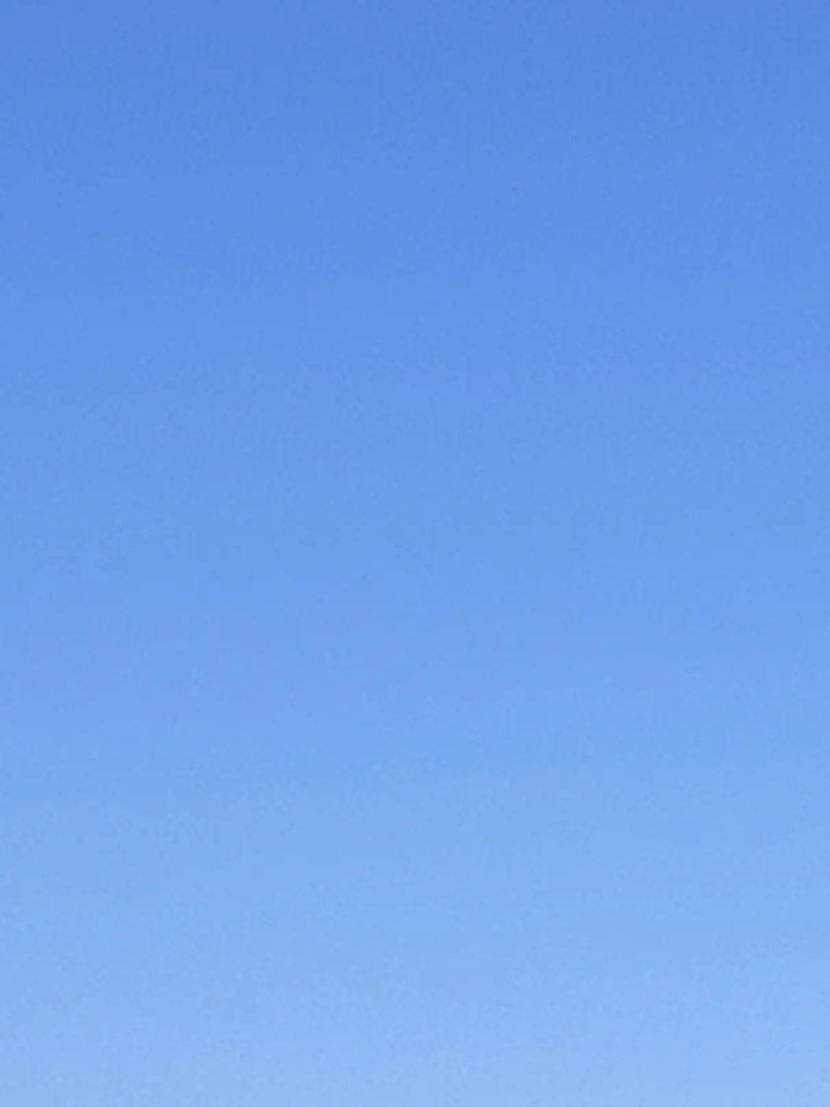 RemoteKoala2128의 友達以上恋人未満（使わないで）