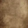 Profile image of Thor