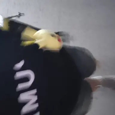 Profile image of 김현