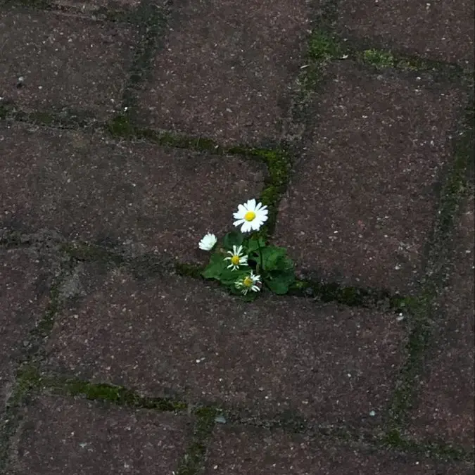 wlgus_SKZ_love의 zodiac