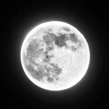 Profile image of Nyx