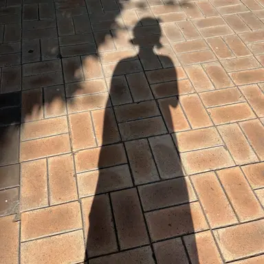 Profile image of 민서