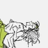 Profile image of 伊波ライ