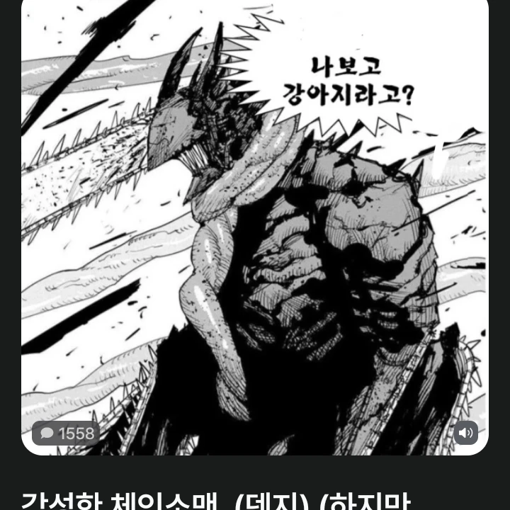채인소맨