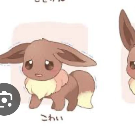 イーブイ