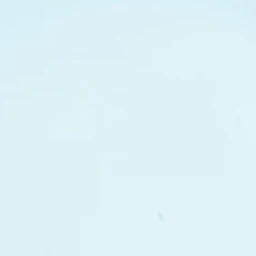 전원우