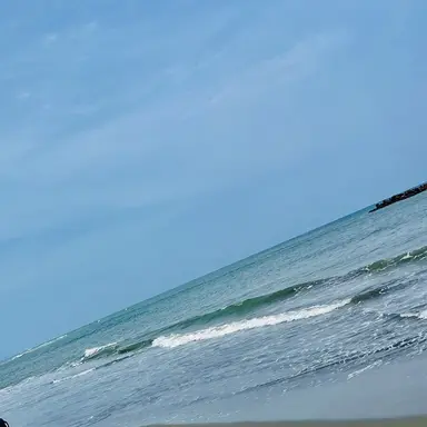 Profile image of 焦凍