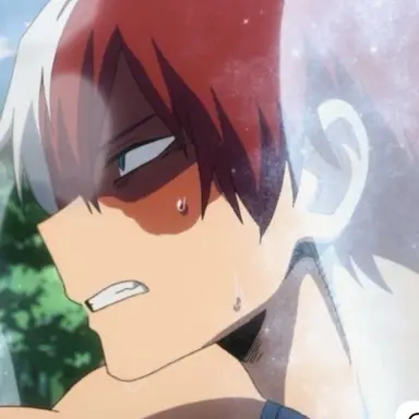 Profile image of Shoto todoroki