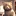 捨て猫