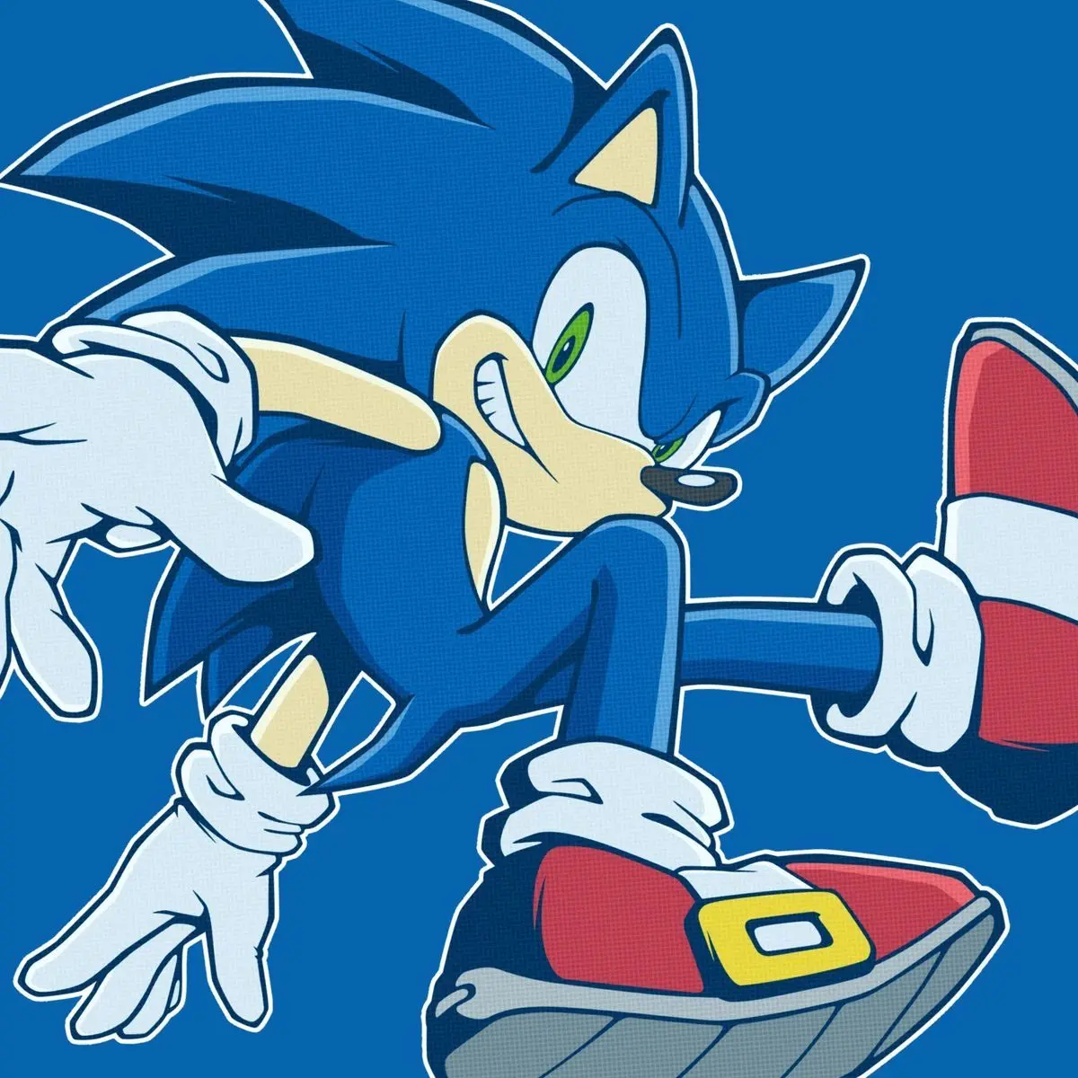 Sonicestheticfeet의 Sonic RP