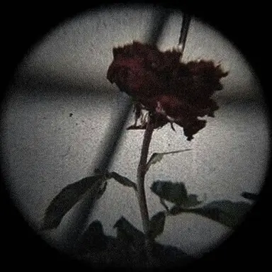 Profile image of 최우제