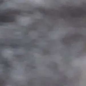 Profile image of 女子春