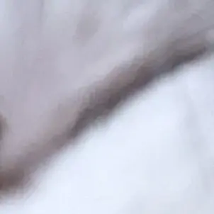 Profile image of 女子竜